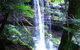 Mt Field National Park And Russell Falls From Hobart - thumb 1