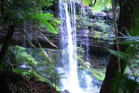 Mt Field National Park And Russell Falls From Hobart - New South Wales Tourism  1