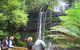 Mt Field National Park And Russell Falls From Hobart - thumb 0