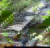 Mt Field National Park and Russell Falls from Hobart - New South Wales Tourism 