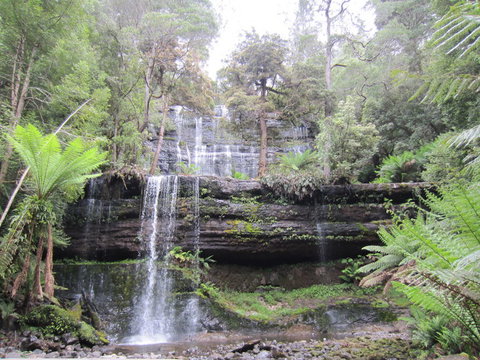 Mt Field National Park And Russell Falls From Hobart - New South Wales Tourism  4