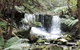 Mt Field National Park And Russell Falls From Hobart - thumb 2