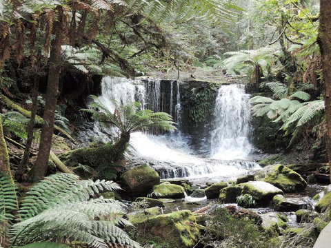 Mt Field National Park And Russell Falls From Hobart - New South Wales Tourism  2