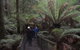Mt Field National Park And Russell Falls From Hobart - thumb 5