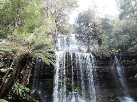 Mt Field National Park And Russell Falls From Hobart - New South Wales Tourism  3