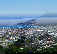 Hobart Shore Excursion Small Group Mount Wellington 3-Hour Bike Tour - New South Wales Tourism 