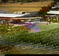 Home Hill Winery Helicopter Tour - New South Wales Tourism 