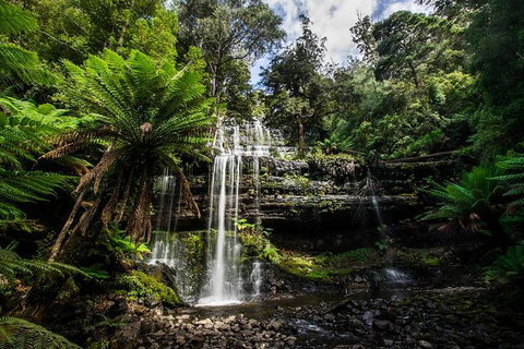 3-Day West Coast Tasmania Tour From Hobart Including Cradle Mountain, Montezuma Falls And Strahan - New South Wales Tourism  3