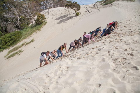6-Day Tasmanian Explorer Adventure Tour From Hobart - New South Wales Tourism  3
