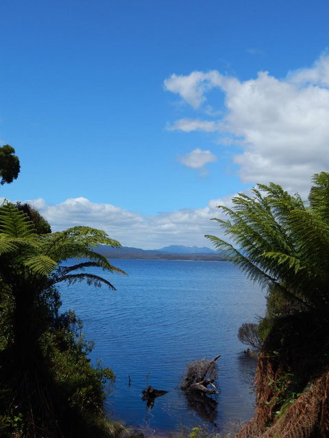 Gordon River Cruise Departing From Strahan - New South Wales Tourism  20