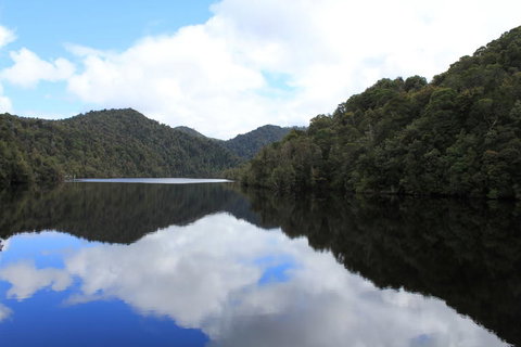 Gordon River Cruise Departing From Strahan - New South Wales Tourism  21