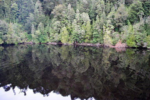 Gordon River Cruise Departing From Strahan - New South Wales Tourism  24