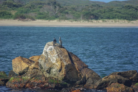Gordon River Cruise Departing From Strahan - New South Wales Tourism  11