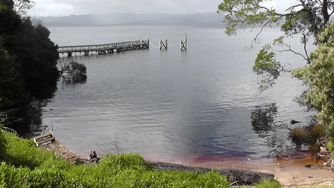 Gordon River Cruise Departing From Strahan - New South Wales Tourism  22