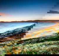 Full-Day Guided Bruny Island Tour from Hobart - New South Wales Tourism 