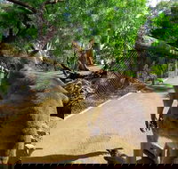 Wilderness and Wildlife - New South Wales Tourism 