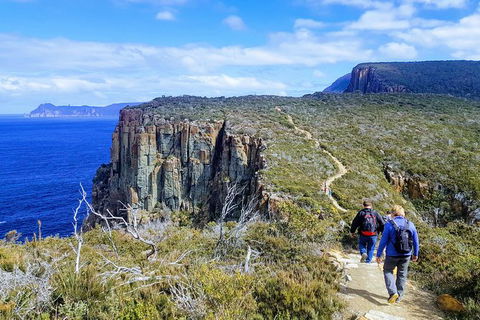 Cape Hauy Hiking Tour - Tasman National Park - New South Wales Tourism  0