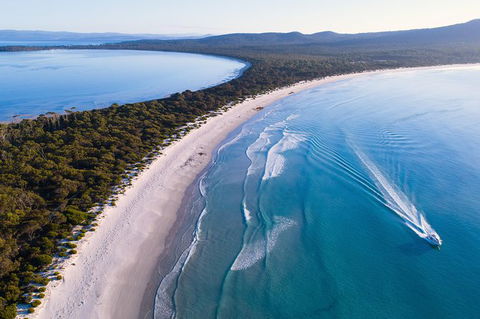 Maria Island Cruise + Walk. Renowned Day Tour With Drinks And Guided Walk - New South Wales Tourism  0