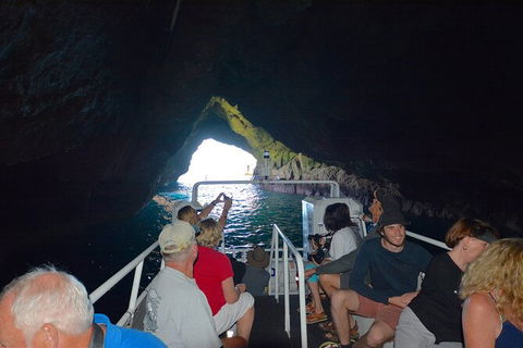 Maria Island Cruise + Walk. Renowned Day Tour With Drinks And Guided Walk - New South Wales Tourism  11