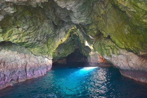Maria Island Cruise + Walk. Renowned Day Tour With Drinks And Guided Walk - New South Wales Tourism  5