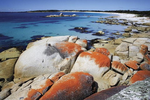 Highlights Of Tasmania 5-Day Small-Group Tour From Hobart - New South Wales Tourism  1