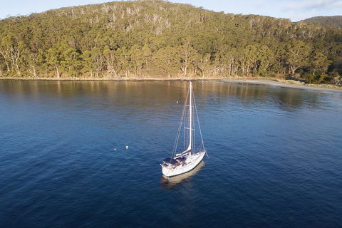 North Bruny Island Day Sail - New South Wales Tourism  8