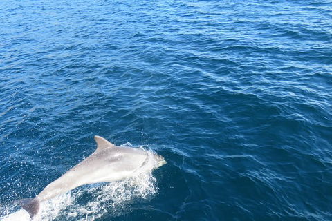 North Bruny Island Day Sail - New South Wales Tourism  3
