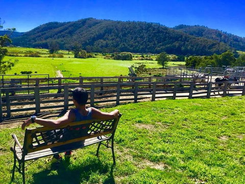 5-Day Lap Of Tasmania Tour From Hobart (flexible Ticket) - New South Wales Tourism  2