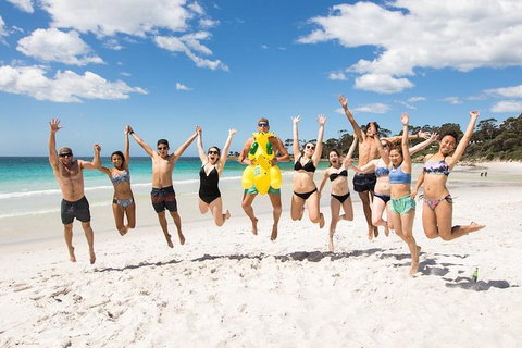 5-Day Lap Of Tasmania Tour From Hobart (flexible Ticket) - New South Wales Tourism  0