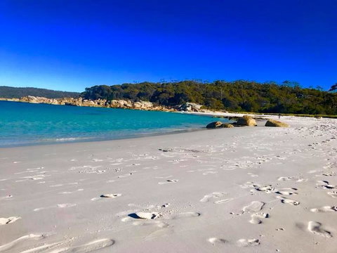 5-Day Lap Of Tasmania Tour From Hobart (flexible Ticket) - New South Wales Tourism  6