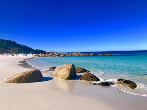5-Day Lap Of Tasmania Tour From Hobart (flexible Ticket) - New South Wales Tourism  5