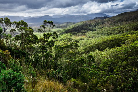 5-Day Lap Of Tasmania Tour From Hobart (flexible Ticket) - New South Wales Tourism  16