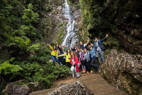 5-Day Lap Of Tasmania Tour From Hobart (flexible Ticket) - New South Wales Tourism  14