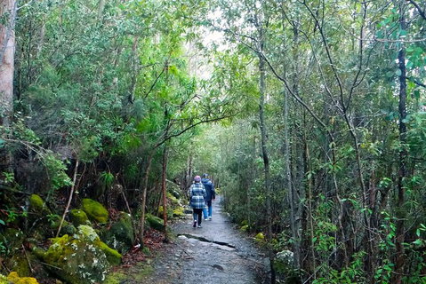 Hobart Hop-On Hop-Off Bus & Kunanyi/Mt Wellington Tour - New South Wales Tourism  4