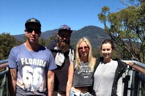 Leven Canyon And Gunns Plains Caves - New South Wales Tourism  2