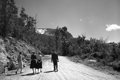Guided Shore Excursion Hobart: Mt Wellington Bonorong Wildlife Richmond Village - New South Wales Tourism  1