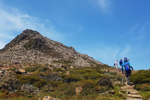 Hartz Peak Hiking Tour - Hartz Mountains National Park - New South Wales Tourism  0