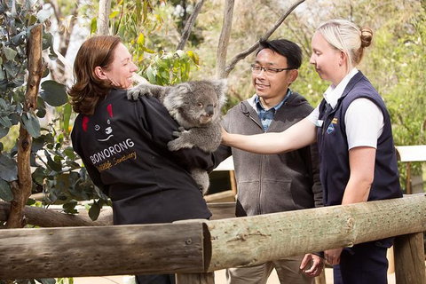 3 Of Hobart's Best Experiences In One Day - Mt Wellington, Richmond And Bonorong - New South Wales Tourism  0