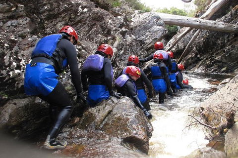 Half Day Cradle Mountain Canyoning: Lost World Canyon - New South Wales Tourism  1