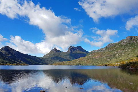 Tasmania 13 Day Premium Tour - New South Wales Tourism  0
