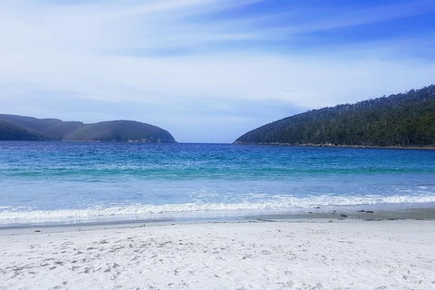 3-Day: Hobart Adventure Tour: Mount Field, Cape Hauy And Hartz Peak - New South Wales Tourism  1