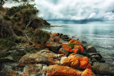 Hobart\'s Best: City, Nature, Wildlife, And Fine Cuisine - New South Wales Tourism  6