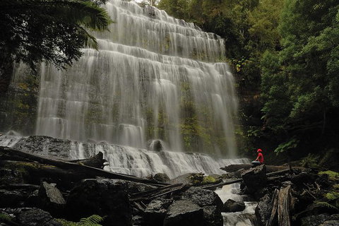Guided Shore Excursion: Mt Field National Park Salmon Ponds Bonorong Wildlife - New South Wales Tourism  0