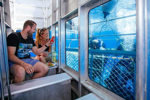 White Shark Tour With Optional Cage Dive From Port Lincoln - New South Wales Tourism  4
