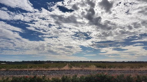 Barossa Valley Full-Day Tour From Adelaide With Maggie Beer Farm - New South Wales Tourism  3