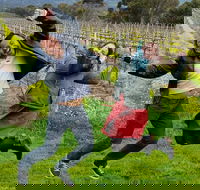 Mclaren Vale Luxury Full Day Small Group Wine Tour - New South Wales Tourism 