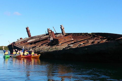 Adelaide Dolphin Sanctuary And Ships Graveyard Kayak Tour - New South Wales Tourism  1