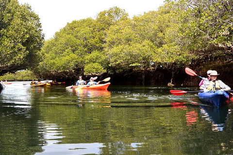 Adelaide Dolphin Sanctuary And Ships Graveyard Kayak Tour - New South Wales Tourism  8
