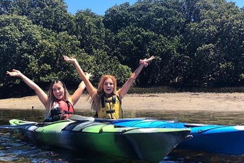 Adelaide Dolphin Sanctuary And Ships Graveyard Kayak Tour - New South Wales Tourism  4