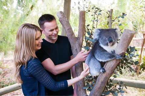 Adelaide Central Market With Cleland Wildlife Park And Mount Lofty Summit - New South Wales Tourism  1